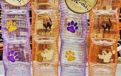 No matter the occasion, Wine-Oh plastic wine glasses are perfection! Available at both locations #wine…