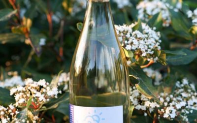 Don’t miss out on our APRIL wine of the month at a special price of $19.99 this …