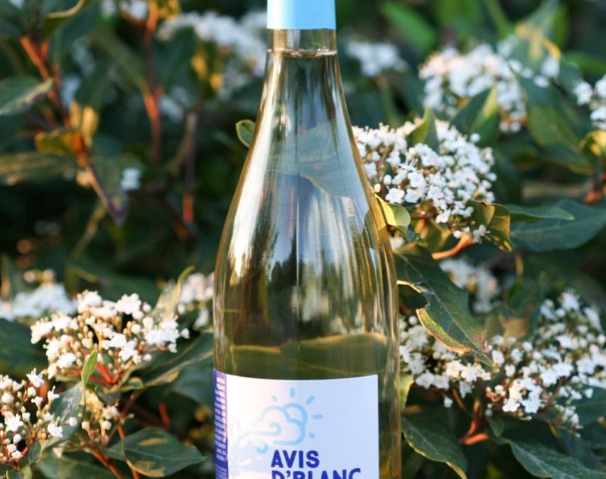 Don’t miss out on our APRIL wine of the month at a special price of $19.99 this …