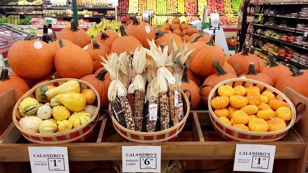 Preparing for fall and Halloween? Stop by our Mid-City location for decorative Indian corn, miniature…