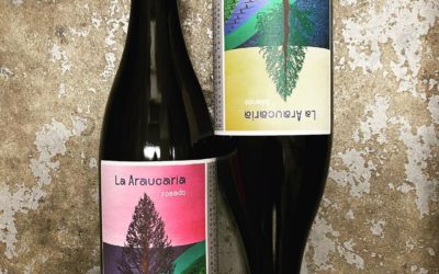 New vintage from @dolorescabrerafernandez La Araucaria! Come taste the rainbow (…