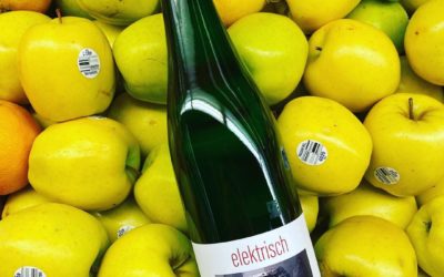 July Wine of the Month! @weingutseehof ‘Elektrisch’ Riesling. Drink this out by …